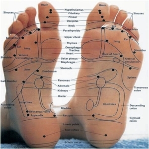 How reflexology works